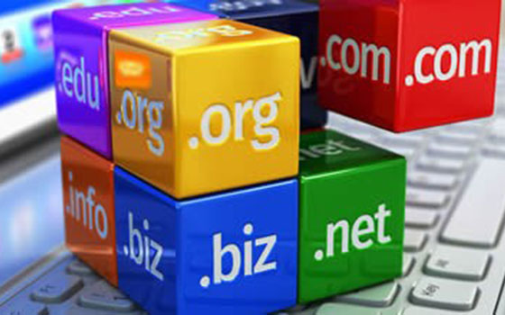 Domain Alırken Nelere Dikkat Etmeliyiz?